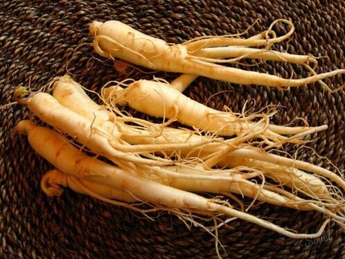 La raíz de ginseng aumenta su potencia después de los 60 años