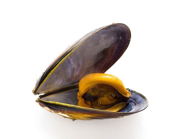 Los mejillones mejoran la calidad del esperma debido al alto contenido de zinc